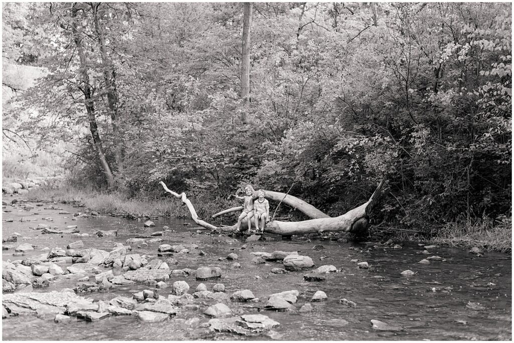 Brothers sit on driftwood for photos