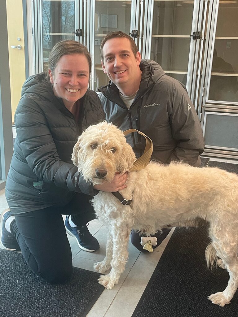 Doodle mix adopted from a shelter as a family pet